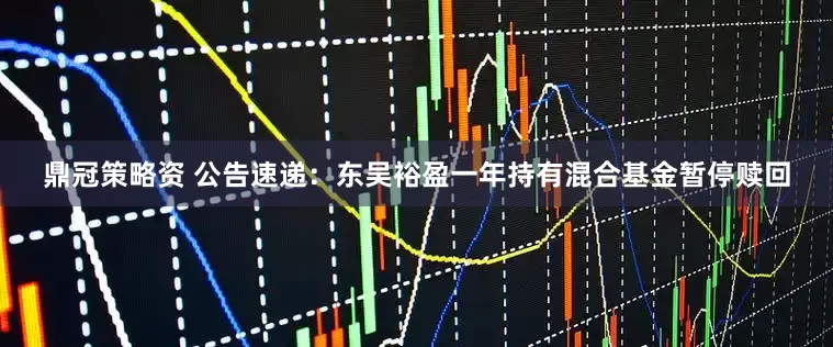 鼎冠策略资 公告速递：东吴裕盈一年持有混合基金暂停赎回