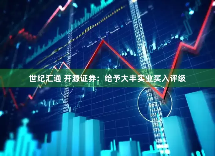 世纪汇通 开源证券：给予大丰实业买入评级