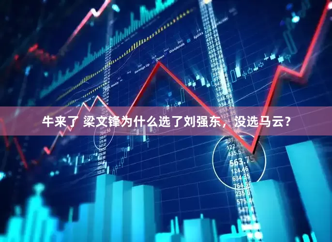 牛来了 梁文锋为什么选了刘强东，没选马云？